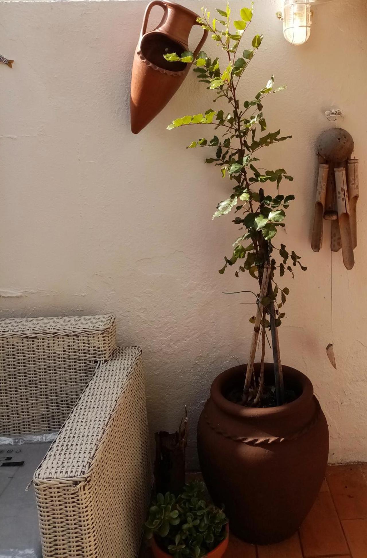 Casa Rustica Βίλα Olhão Εξωτερικό φωτογραφία